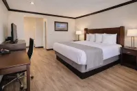 Discovery Inn - Pet friendly