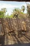 Proyecto Palmita