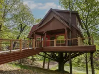Hilton Grand Vacations Club Branson Cedars Ridgedale Hotels in Ridgedale