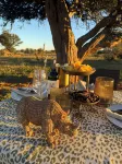 Makanyane Safari Lodge - Frühstück