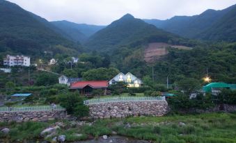 Yangsan (Baenaegol) Picture and Garden Pension