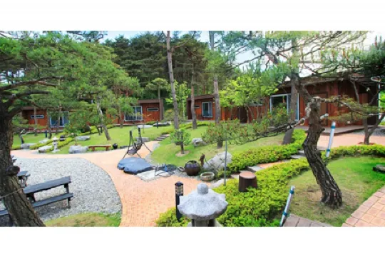 江陵到鏡浦台旅館