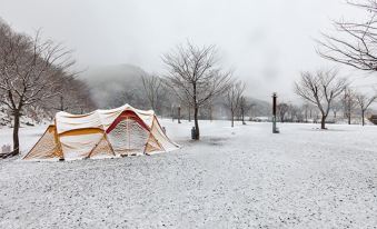 Mungyeong Sunflower Pension Campground