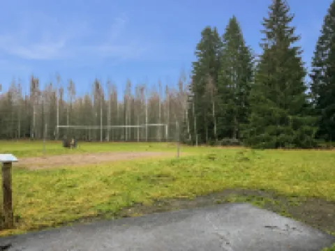 Puolukka