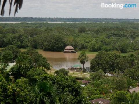 Other Ayahuasca Photo