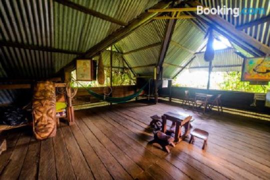 Public Areas Ayahuasca Photo