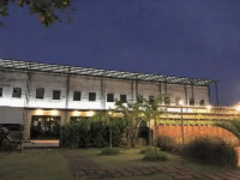 The Tree Sleep and Space