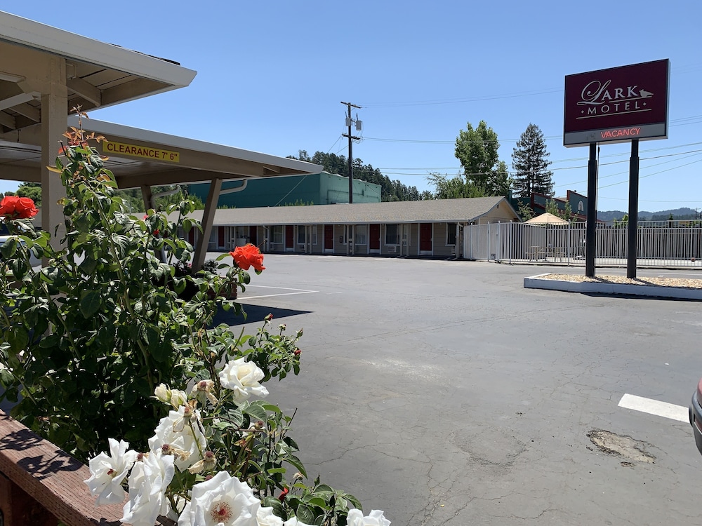 Lark Motel Willits