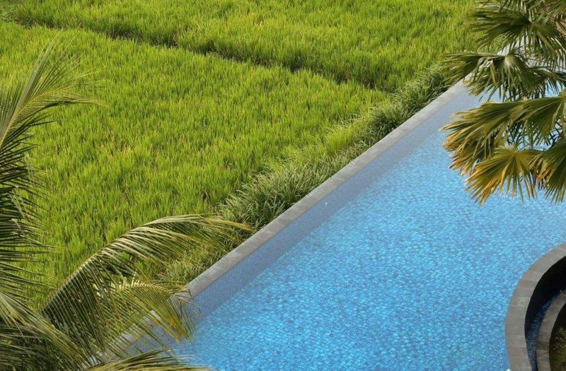 Plataran Ubud Hotel & Spa photo 5