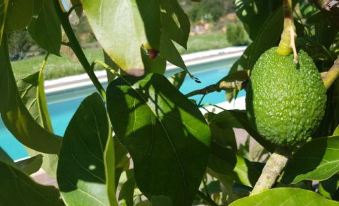 Finca Can Pepis - Housity
