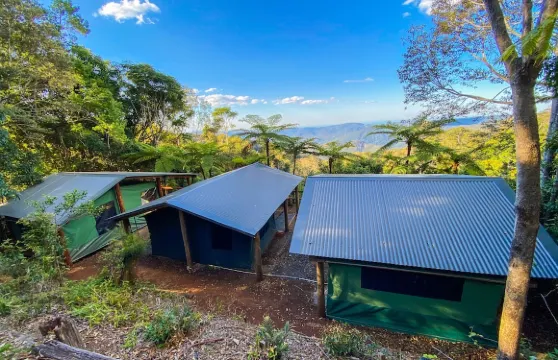 Binna Burra雨林露營地
