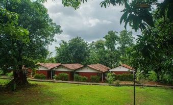 Nature Trails Kundalika, Kolad