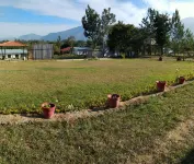 Singaras Coffee Country Отели в г. Нилгири