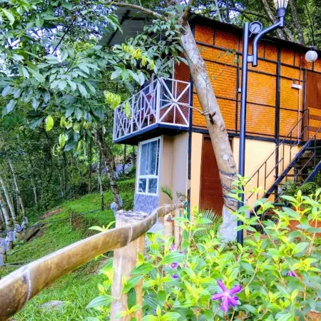 Mistywindvalley