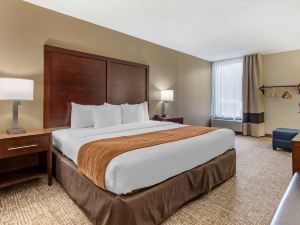 Comfort Inn Charlotte Airport Uptown