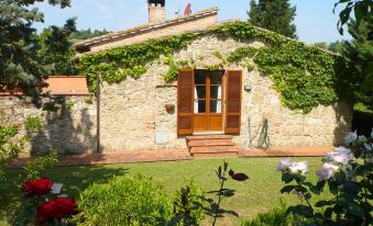 Panoramic Villa in Tuscany Rolling Hill, Well Connected, Everyday New Journey to