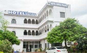 Hotel Gokul Palace Udaipur