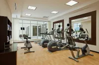 Hilton Garden Inn Tuxtla Gutierrez - Gym