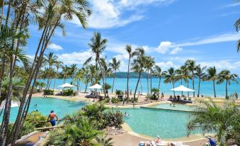 Lagoon 206 on Hamilton Island