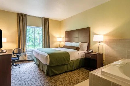Cobblestone Hotel & Suites - Harborcreek
