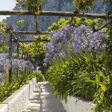 Villa la Pergola Capri