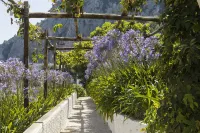 Villa La Pergola Capri