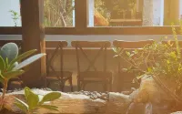 Hasu Village Hòa Bình - Moutain View Hotels in Hoa Binh