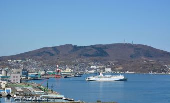 a large white cruise ship sailing in the water near a pier , with mountains and buildings in the background at Authent Hotel Otaru