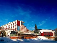 Hotel Piatra Mare Hotels near Lupului