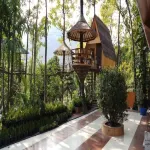 Betel Valley Tree Resort, Rangpo, Sikkim Hotels in South Sikkim