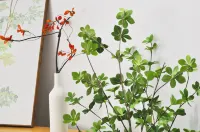 Xuzhou Squirrel Homestay (Tongshan Wanda Plaza)