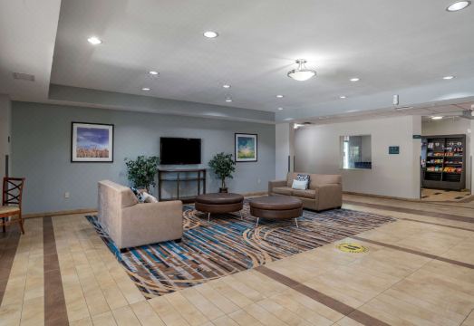 메인스테이 스위트 덴햄 스프링스 - 배턴루지 이스트 객실 사진