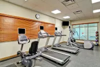 Hilton Garden Inn Ottawa Airport - Gym