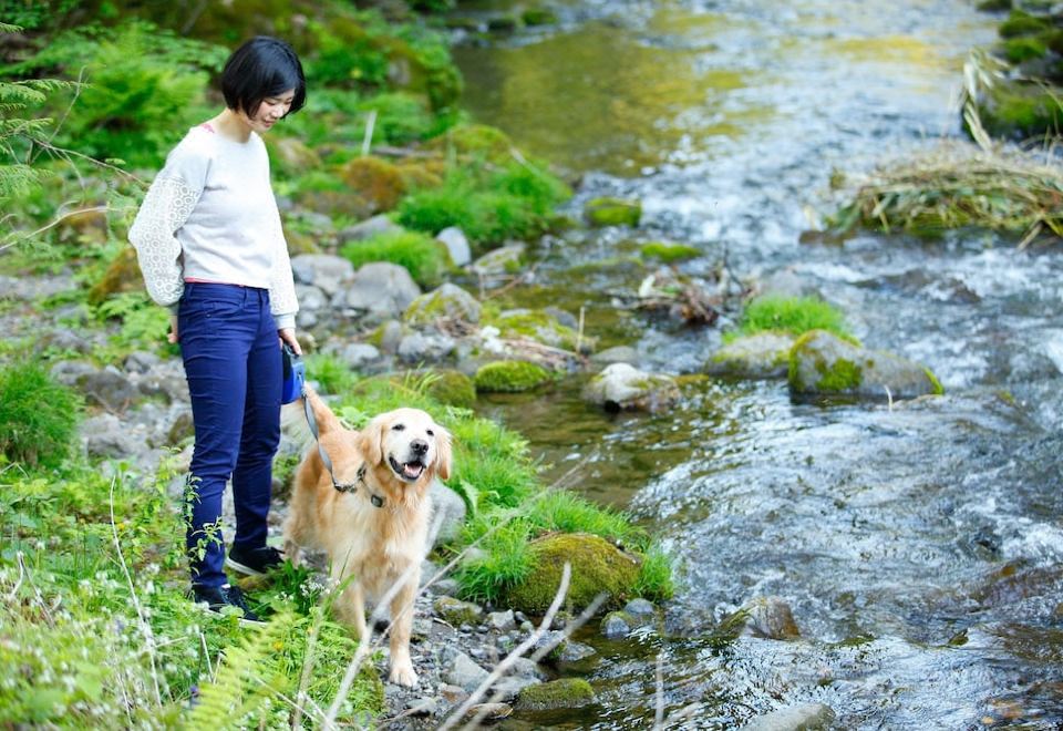 4. 이즈미고 다카야..