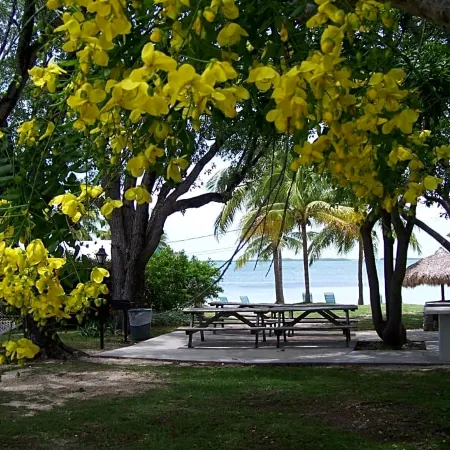 Rock Reef Resort