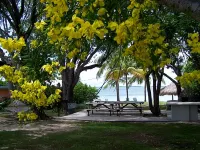 Rock Reef Resort - piscina
