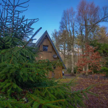 Birchwood Cottage
