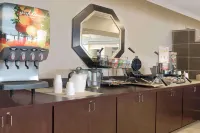 Ramada by Wyndham Houston InterContinental Airport East