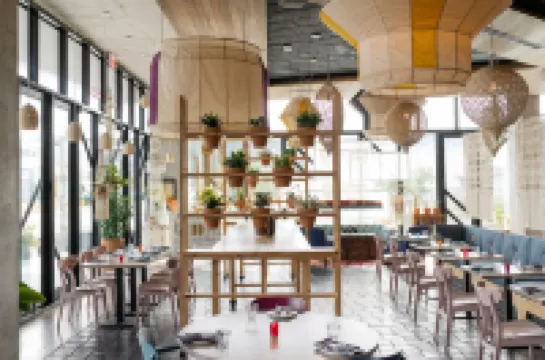 어라이브 오스틴