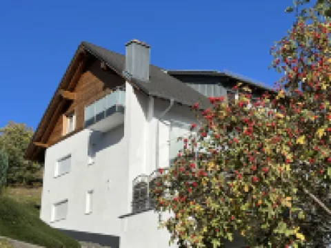 Schwarzwaldblick III