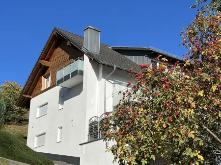 Schwarzwaldblick III