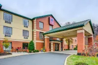 Comfort Suites Pittsburgh Airport Hotel in zona Pittsburgh Botanic Garden