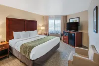 Comfort Inn University - Afhentnings-/afleveringstjenester