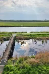 Natuurlijk de Veenhoop