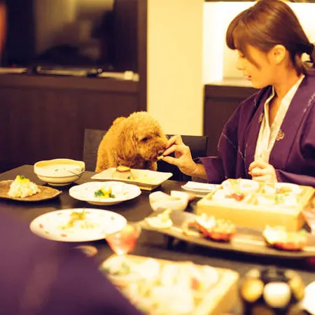 A Stylish Inn for You and Your Beloved Dog. D+Kirishima