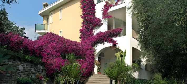 Hotel Bellavista Hotels in Imperia