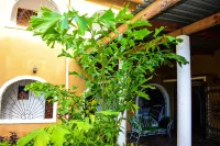JoysVilla Family Holiday Home - Pet friendly