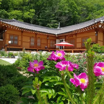 Danyang Gahyeonjeong Pension Отели рядом с достопримечательностью «Пещера Косу»