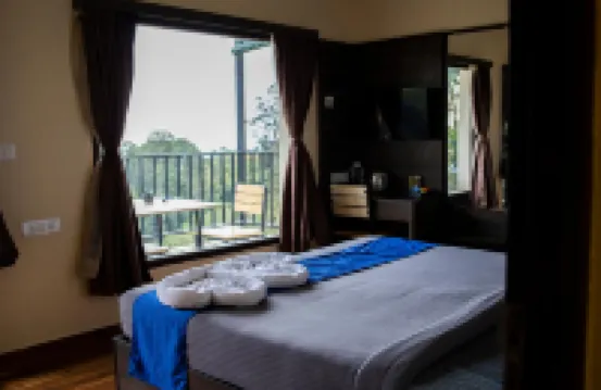 Dolphin Nose Retreat
