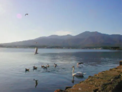 金沢屋旅館 佐渡島のホテル